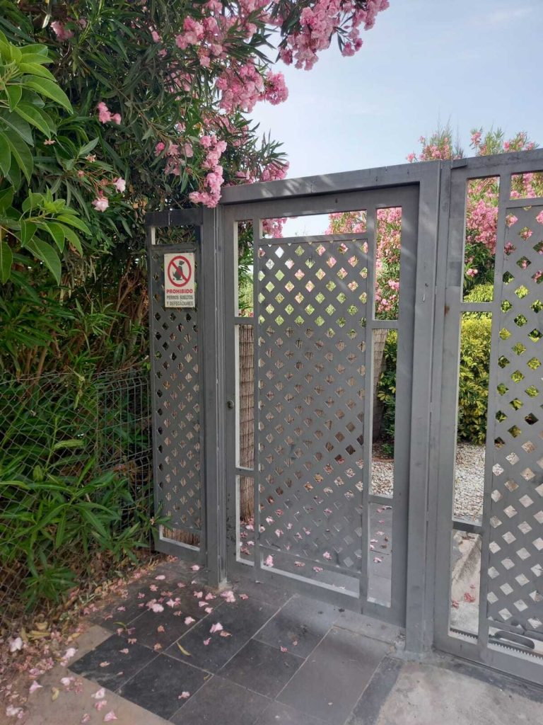 2138fce4 4a21 46e8 993a 851f6f02772a